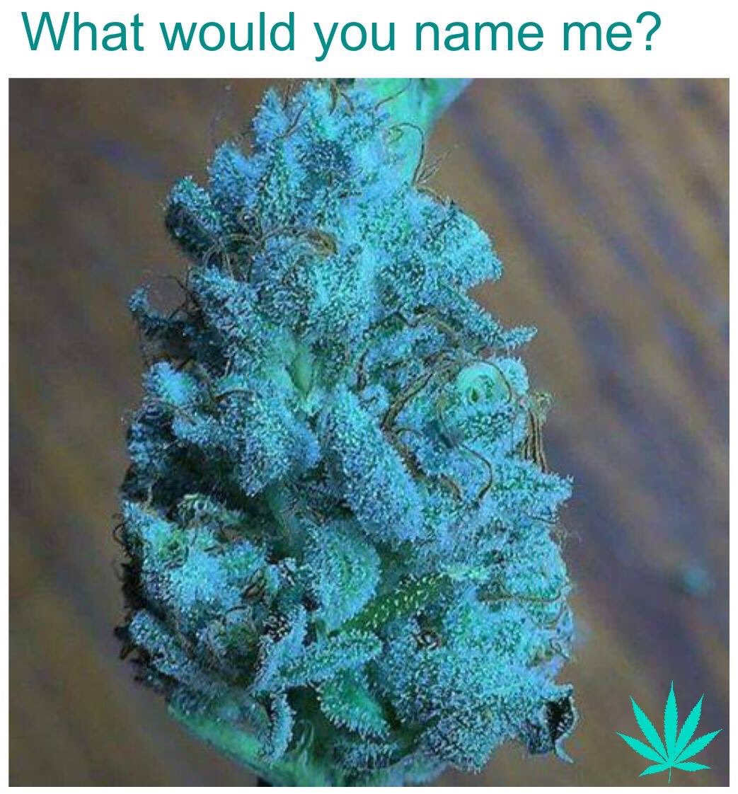 ZayInvader's tweet image. 