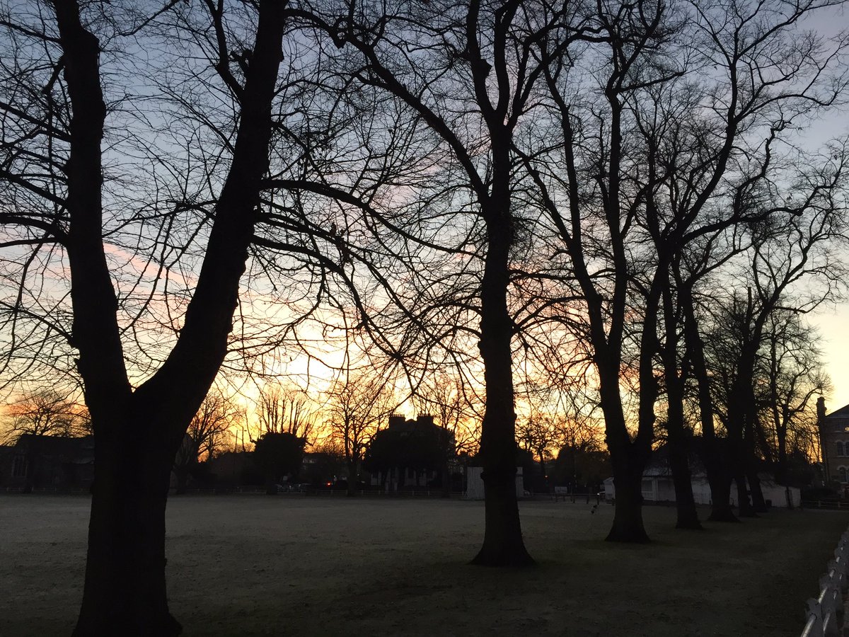 vanderhayes's tweet photo. Both ends of a stunning #Twicks day. #TW Green looking good in the chill #twickenham #winter βοΈπβοΈ https://t.co/qa8CCTryi2