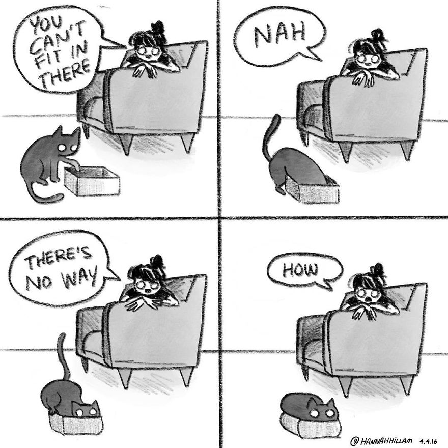 meowbox's tweet photo. Every time! #theboxlife #themeowlife #meowbox https://t.co/e0JLJLHPO1