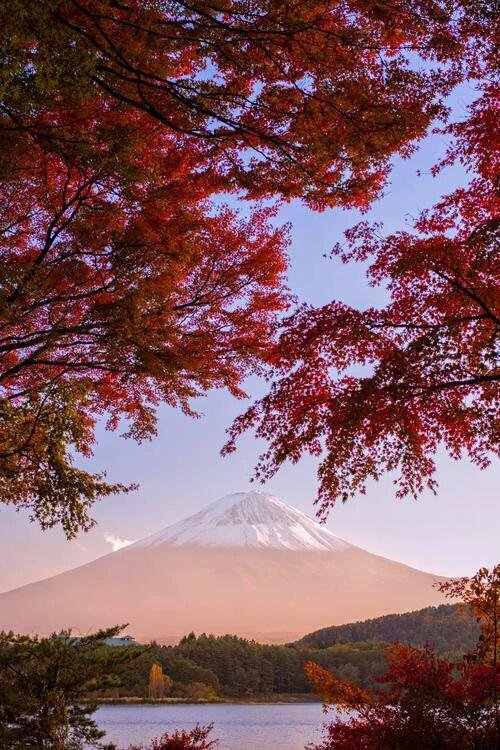ButDansLaVie's tweet photo. Voir le Mont Fuji au moins une fois dans ma vie😍🗻🌺 https://t.co/mLQgUzmCIF