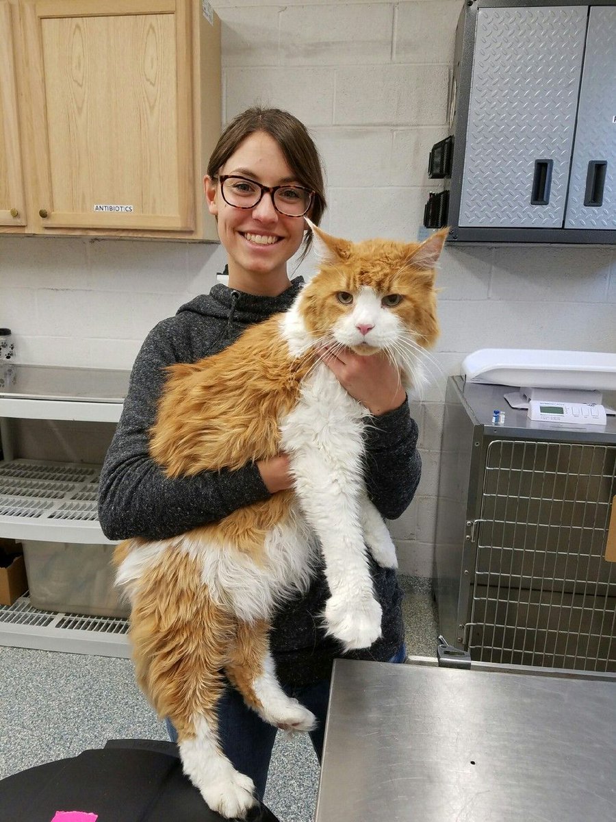 dodo's tweet photo. Edgar is SO BIG. He was left at a shelter, but luckily found a home within hours! https://t.co/U24x16mH2L https://t.co/ZA6Ve6Auo9