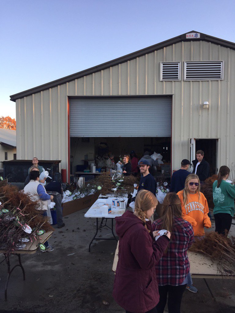 GBOTrees's tweet photo. #bazillionblooms dogwood prep for the big distribution day Saturday. https://t.co/Ibusiovpxo