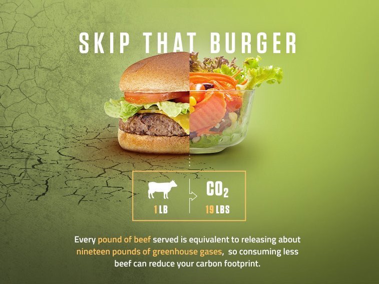 KrissHampton's tweet image. A simple way that you can combat climate change  #climatechange #BeforetheFlood #eatlessbeef