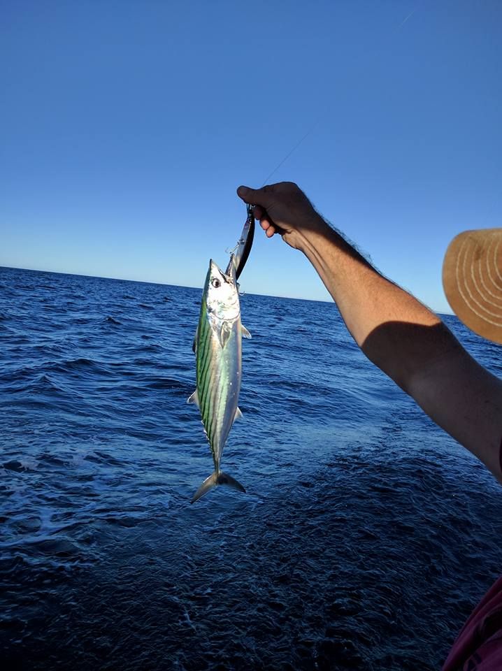 johnsolsen's tweet photo. #CatchYourOwnFish #LetsGoFishing on the CharterYacht! https://t.co/OmuqHDQouB