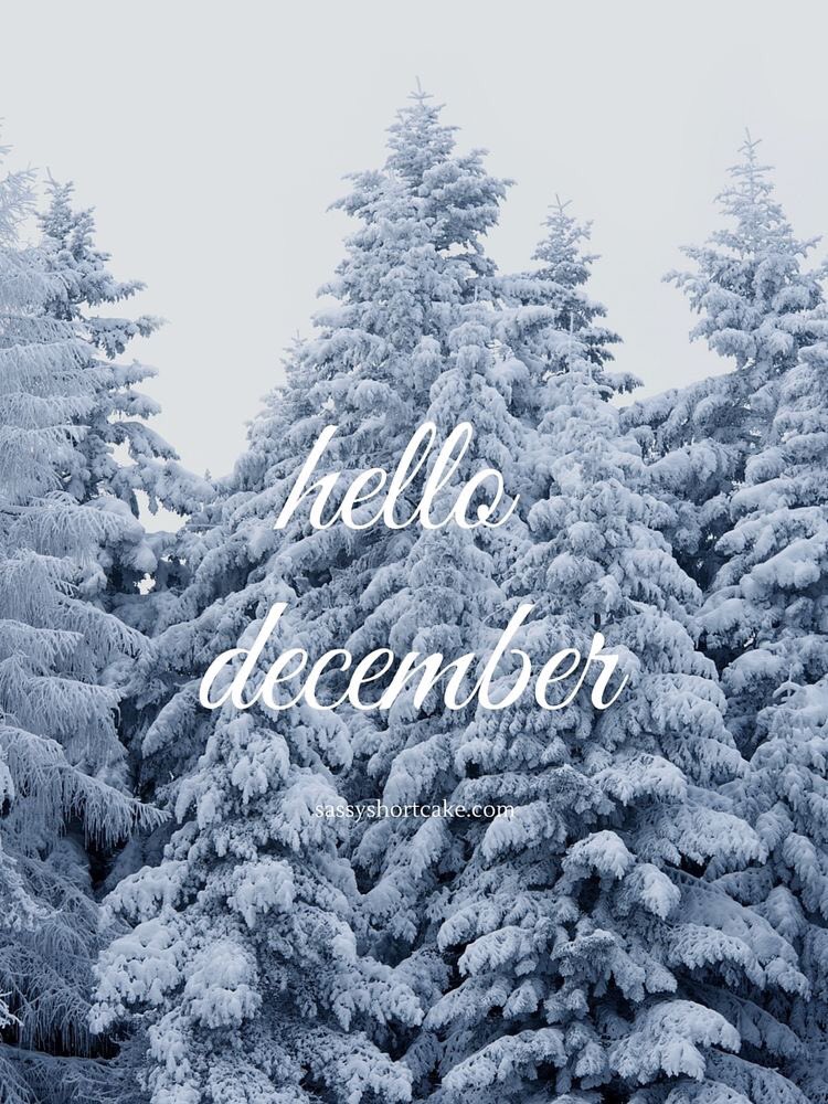 paulierexx's tweet photo. Happy December 1st #hellodesember 🎄☃️❄️ https://t.co/Nmu5RmAWki