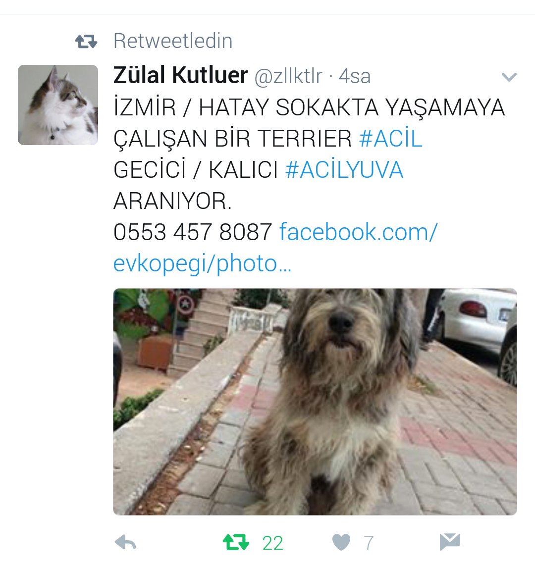 1biziz's tweet photo. Bu bebiş sokaktaymış onu kurtaracak candostunu arıyor acillll RT https://t.co/lGLfWrAimx