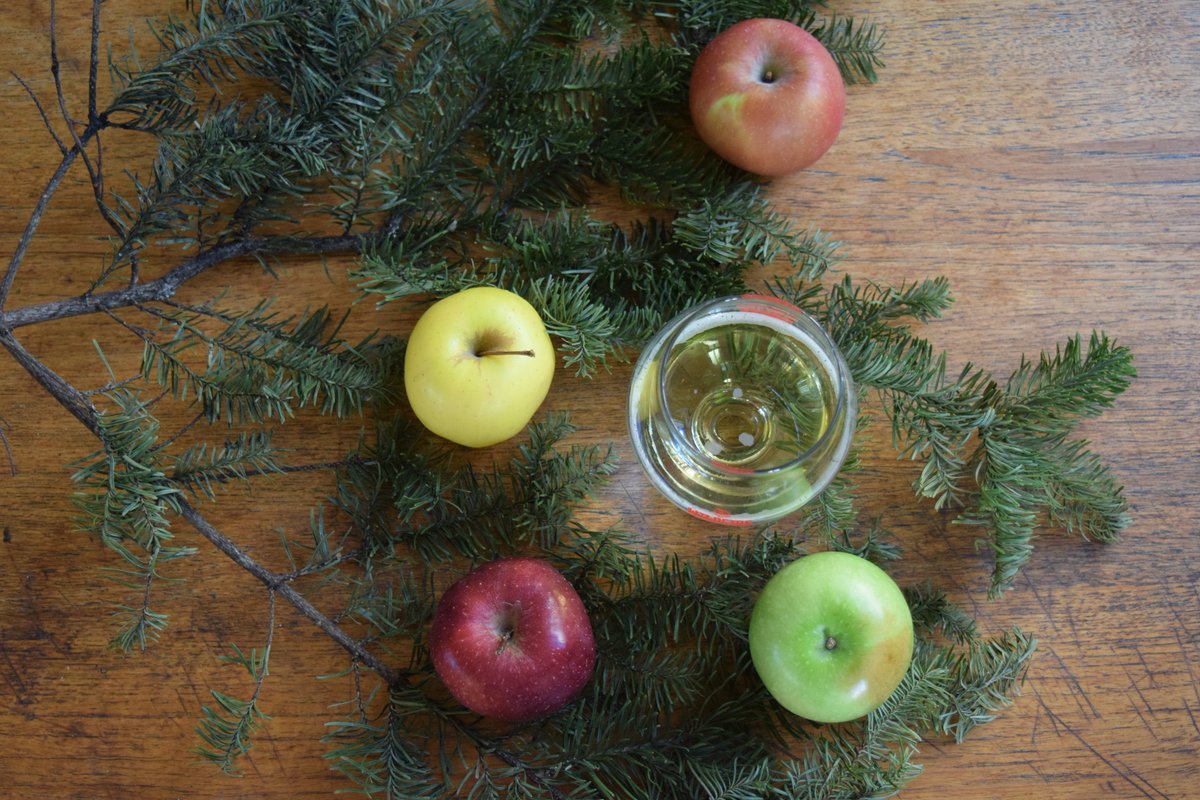 theWILDCIDE's tweet photo. It's the most wonderful time of the year! Where drinking #cider everyday is just considered being festive...(or is that just us?) #WILDCIDE https://t.co/vyBtYvGD3A