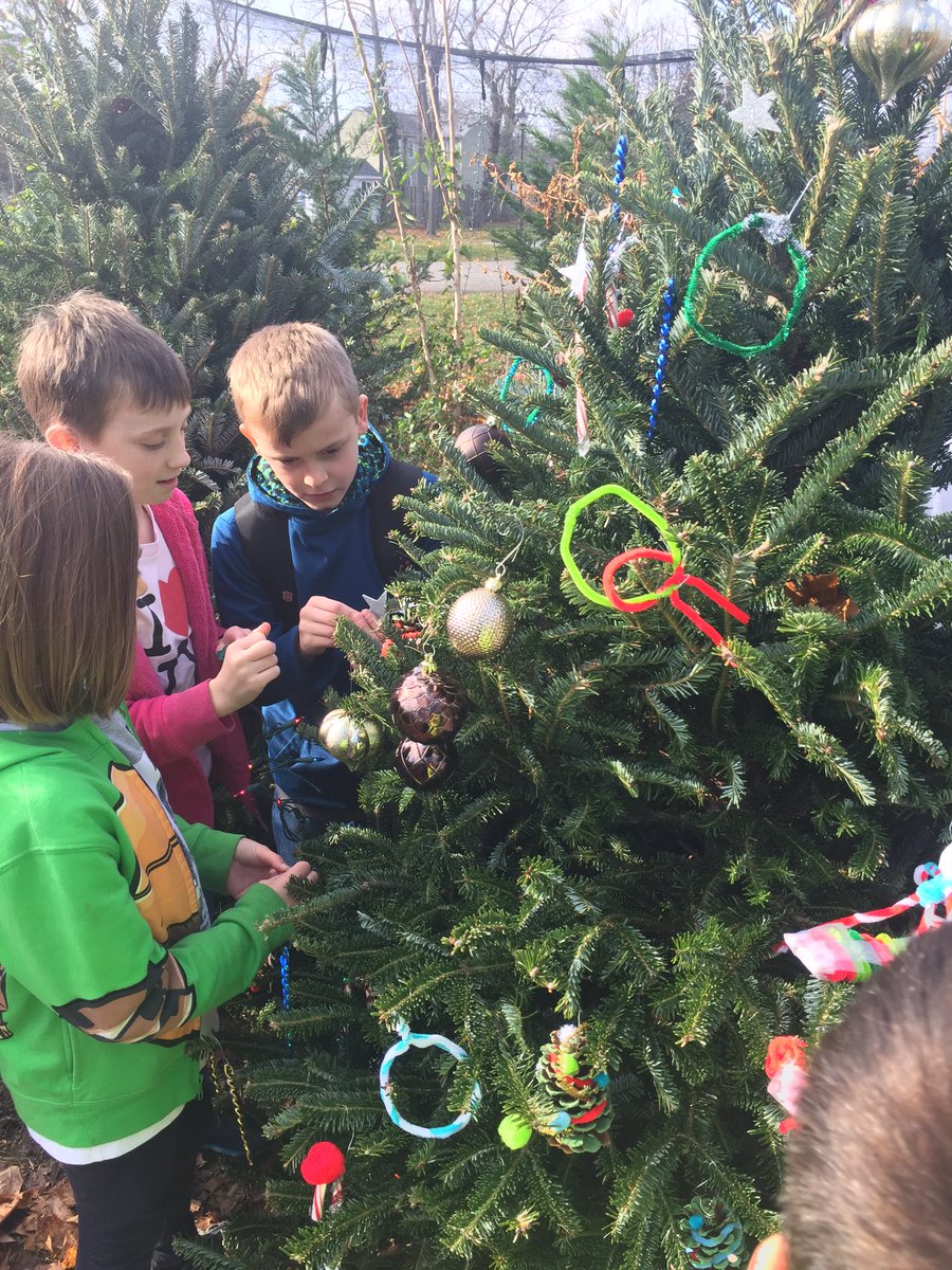 MrsSwal's tweet photo. Decorating our tree at the community center! 🎄 @FSDVikings https://t.co/7l7UJ4IHgF