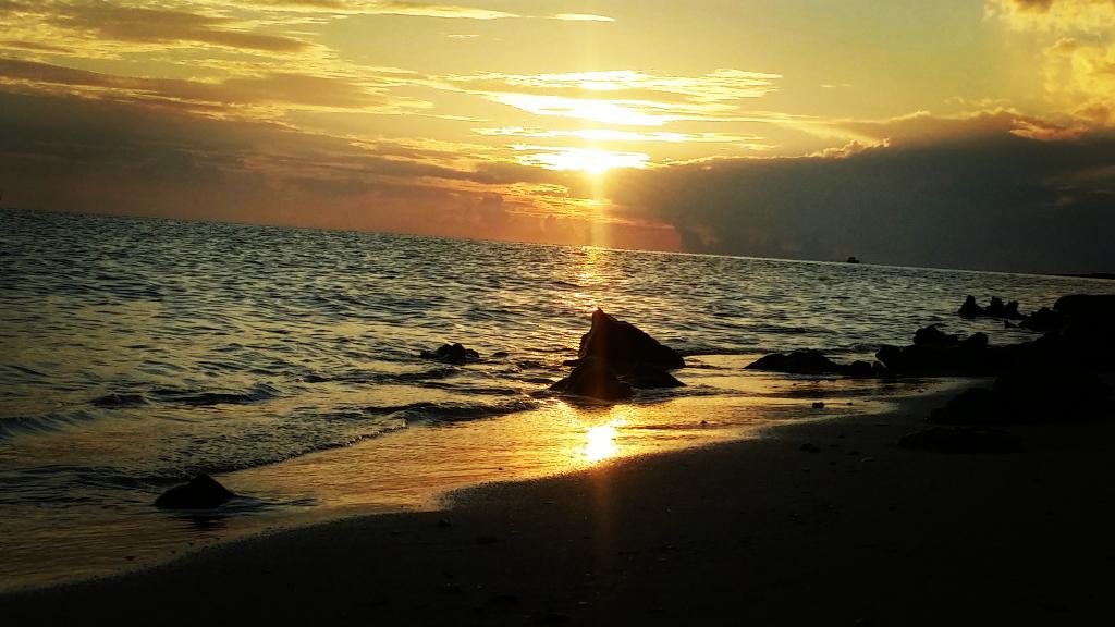 shimaayaaa's tweet photo. Today's #sunrise ☺ https://t.co/OnIHKe4Hj7