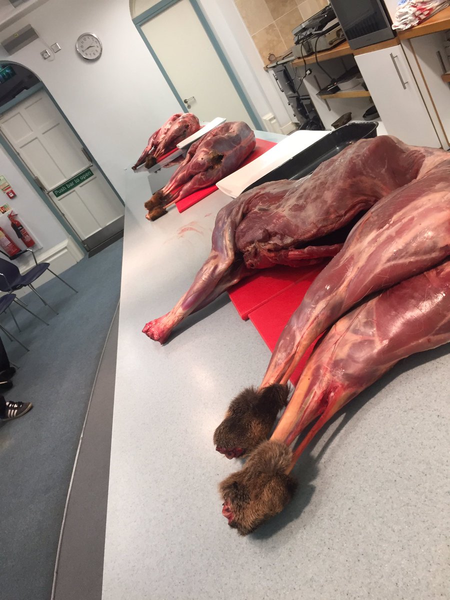 S_Aitkenchef's tweet image. Great afternoon with @TomKitchin working with our @Bschefacademy students @heavenat8 @BaxterStorey  #skills #passion #scotlandsfinest 👌🏻