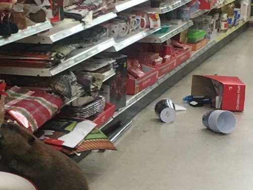 KTLA's tweet photo. Beaver trashes holiday decorations aisle at Maryland dollar store; suspect "apprehended" https://t.co/uwJd0ylgBb https://t.co/dKcVMwEYtP