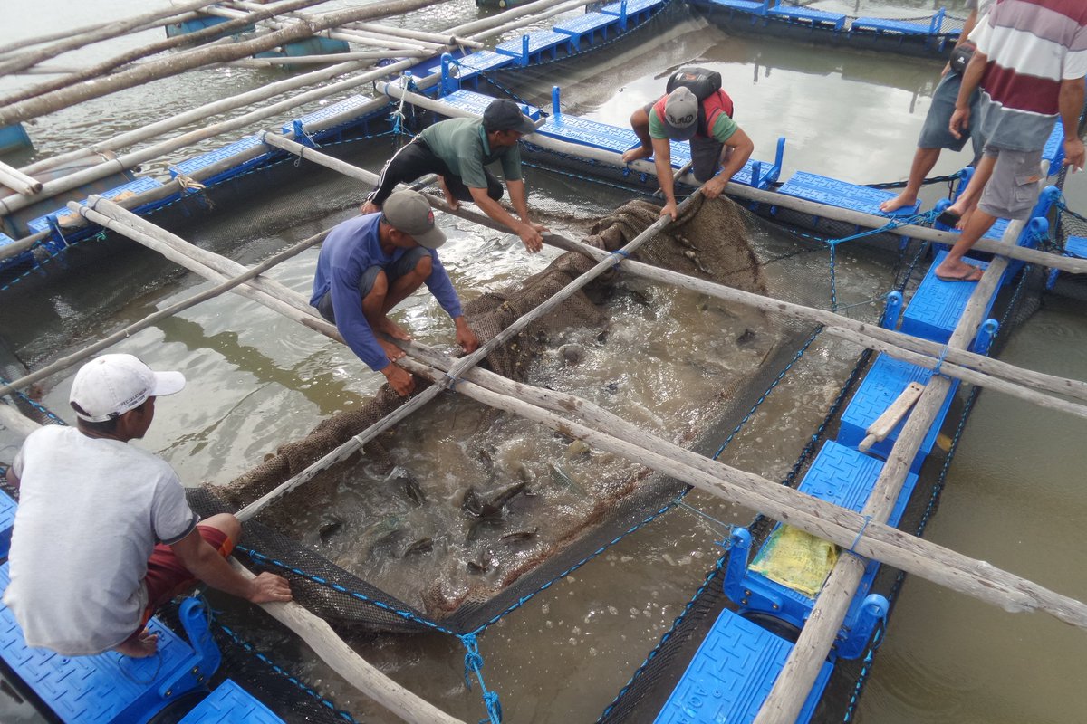 Firmand Syah tweet media