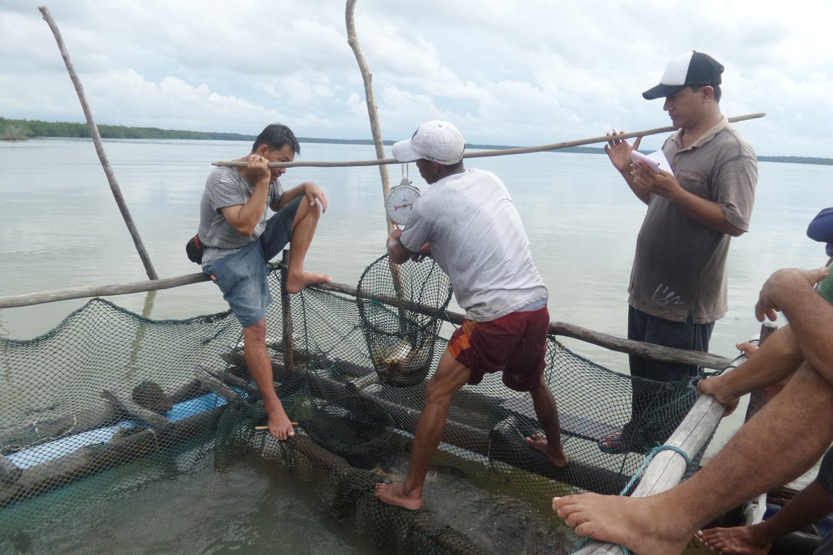 Firmand Syah tweet media