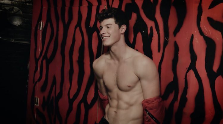 colouringmendes's tweet photo. Okay for real tho forget that he's shirtless, look at his cute little smile. Man my heart https://t.co/hPThuBPRKP