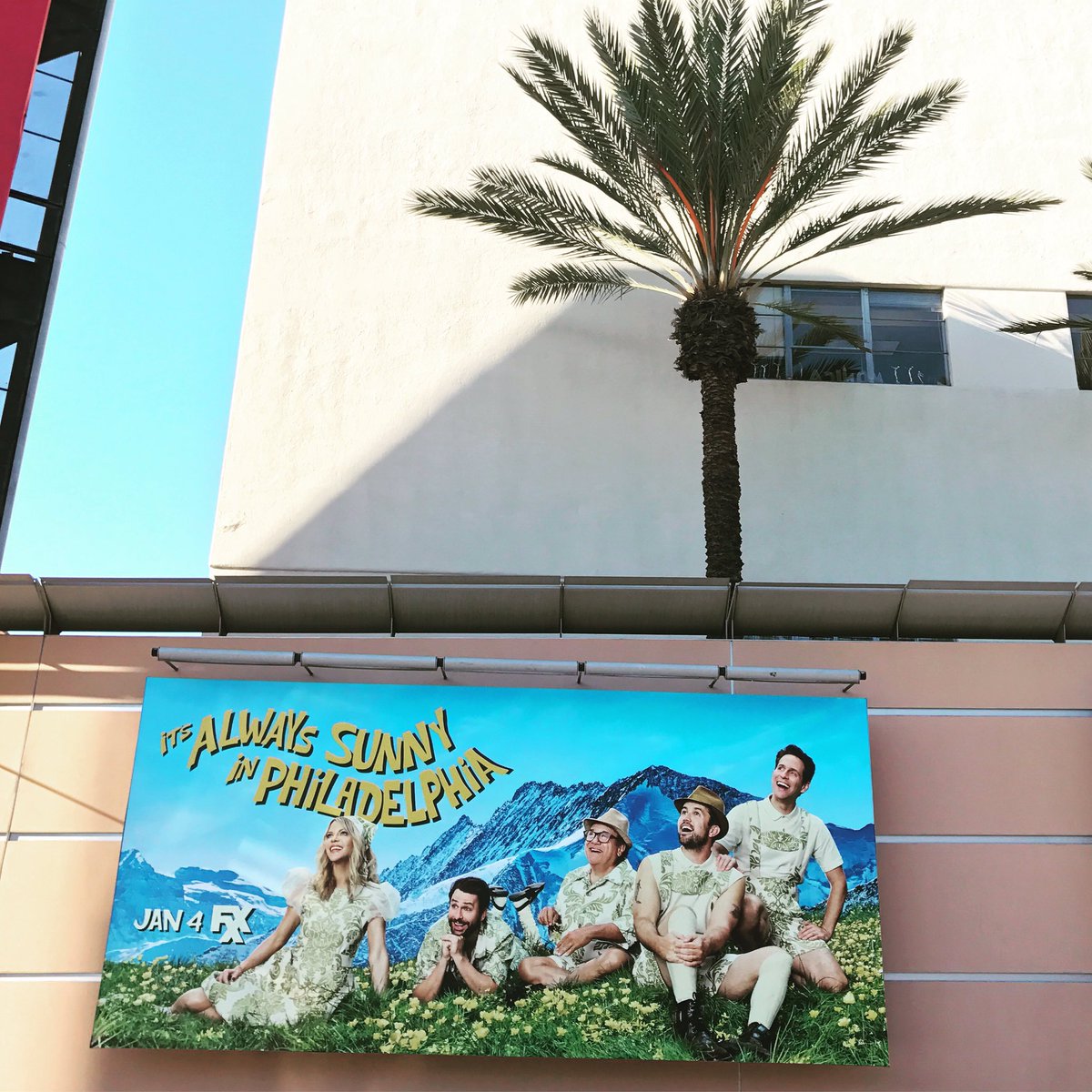 Hey look... a Palm tree! And a little photo I shot for #itsalwayssunnyinphiladelphia !!