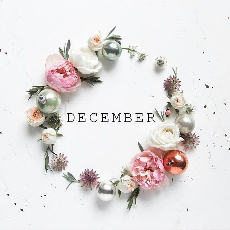 wildedesignco's tweet photo. Can you believe it's already December? Time to start Christmas-ing! My favourite time of the year 😍 What's your fav… https://t.co/HbplS1HSVN