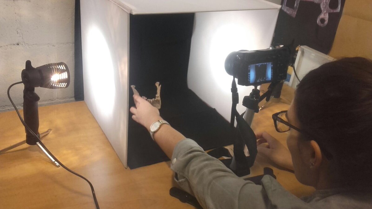 ArqueoMontsec's tweet photo. Avui al laboratori d'#arqueologia fem #fotogrametria d'un dels cranis d'#Altimiris. Potser aviat podrem mirar els altimirencs cara a cara! https://t.co/e4zTOwGPQ6