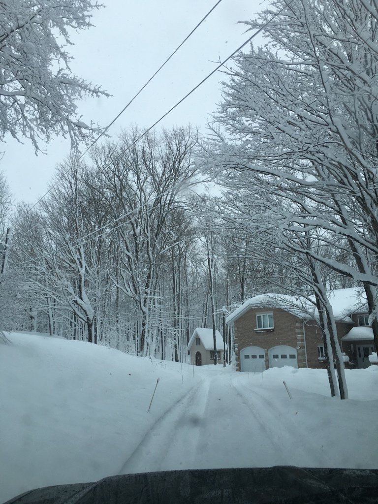 molardoctor's tweet photo. @TSNSteveLloyd Your snowman should of migrated here… #NBproblems https://t.co/O1qi1L47Qt