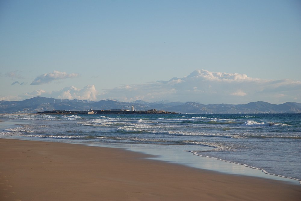 lovecadizfornia's tweet photo. Kiter, Kühe, kontinentale Aussicht: #Strandwanderung ab #Tarifa: https://t.co/x0UOwiYAJD #Cadizfornia #Cadiz #Andalusien #Wandern #Reise https://t.co/yBLfFyBAto
