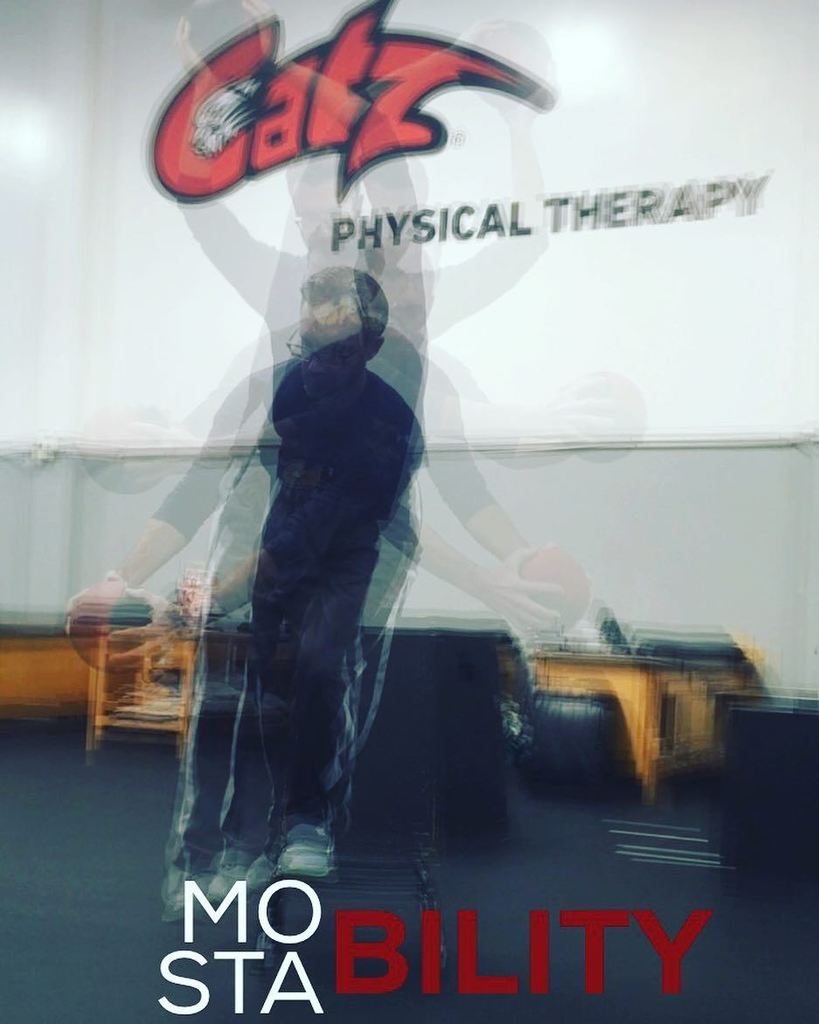 cbutlersportsPT's tweet photo. Single leg #mostability blog coming soon. #CatzPT @catzpasadena @athleticgaines #trainlike… https://t.co/zzGML9oGMM https://t.co/lDgcd2df8g