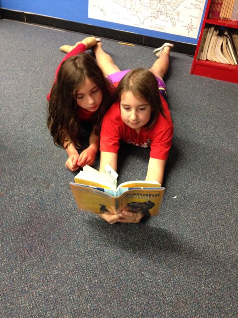 Fox2Library's tweet photo. A Handful of Stars - #SCEReads what a great book! Tomorrow is our all school/family celebration. #LIBRARIESinRISD @donalynbooks https://t.co/duDUE1gENZ