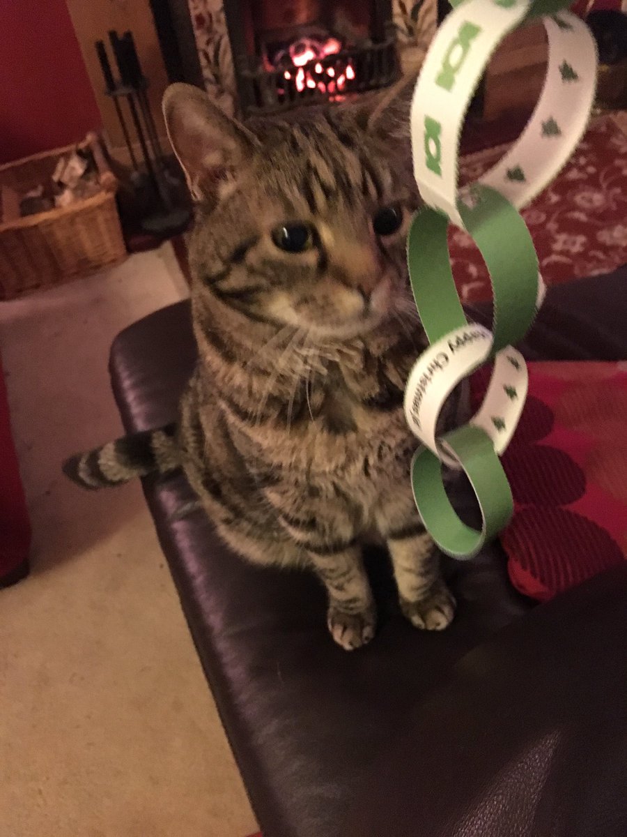 saraharimmer's tweet photo. Here's JD mesmerised by his #vippaperchain https://t.co/6NwAvhhGj7