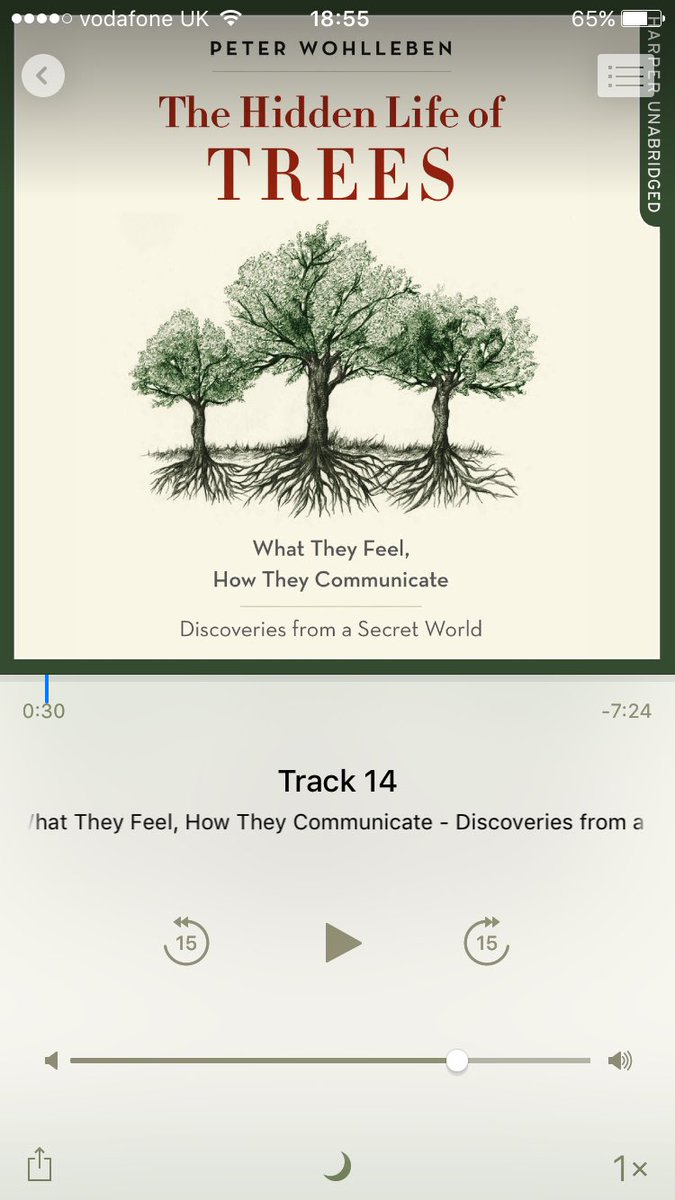 CorriganHa's tweet photo. Best book I've read, well listened to! @PeterWohlleben Love how trees are compared to humans! #trees #book https://t.co/9yB5DNlyBy