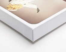 eScrip's tweet image. Personalize your #gifts with a custom print at Canvas Pop using Benefit Mobile and earn 10.5% back for your school.
escrip.com/getbenefit