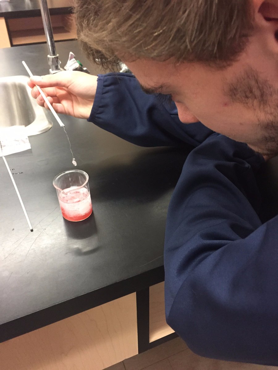 sta_science's tweet photo. DNA Extraction Lab, Strawberries sacrificed for science. #codeoflife #doublehelix #SBI4U #stascience @STA_CSS https://t.co/LTwAFdWFDy