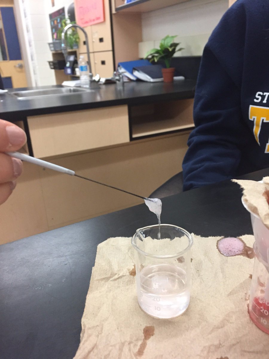sta_science's tweet photo. DNA Extraction Lab, Strawberries sacrificed for science. #codeoflife #doublehelix #SBI4U #stascience @STA_CSS https://t.co/LTwAFdWFDy