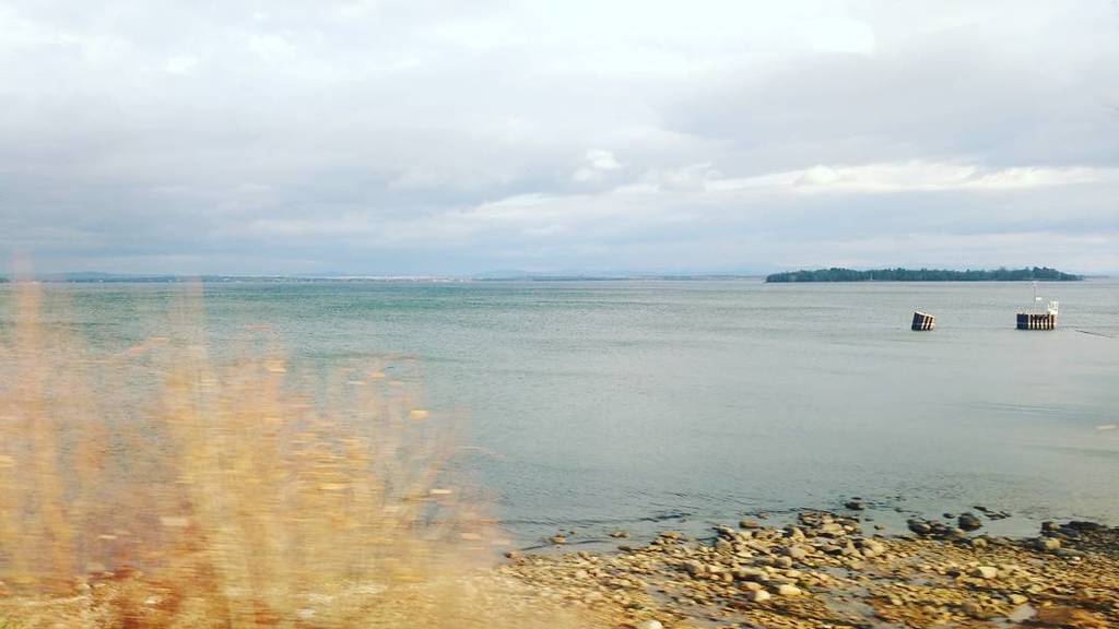 viewfromalake's tweet photo. American sunshine. Lake Champlain, New York State. @amtrak #railjourney #traintrip #viewfr… https://t.co/6YdWBAZYMM https://t.co/uMwJJsbjEe