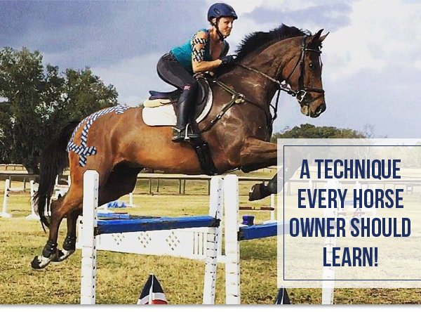How does Kinesiology Tape work? Every horse owner should learn! #kinesiologytape #horses conta.cc/2gqQ4Qb
