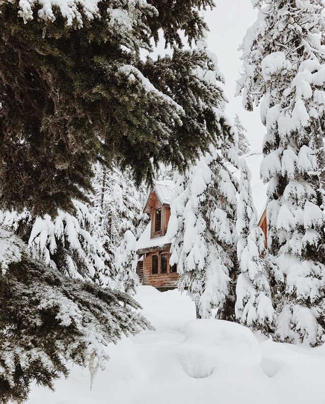 fellowmag's tweet photo. Over the hills and through the woods.
-
Image captured by @maddiegreer. 
#fellowmag https://t.co/IyQG7e92YW