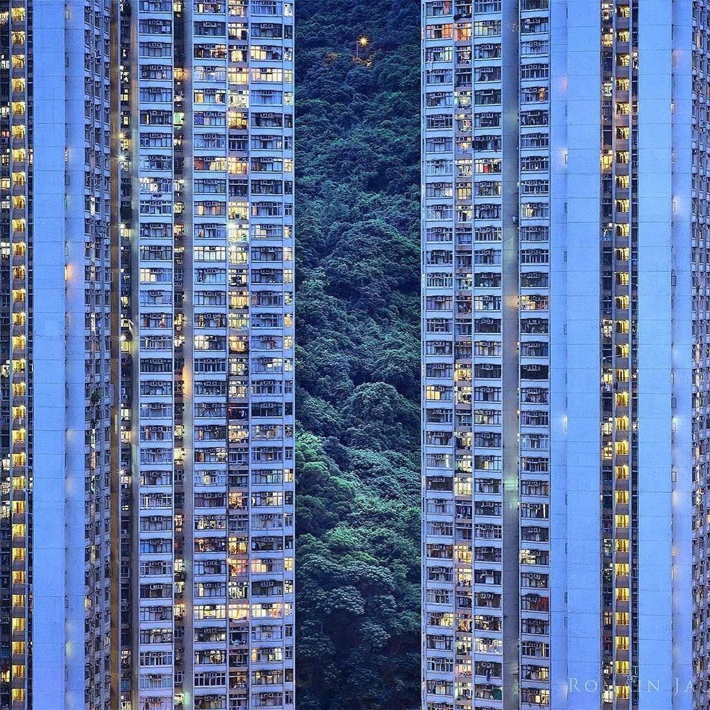 fubiz's tweet image. "Nature in the City" Photography by @romainjacquetlagreze 
#building #forest #nature #city… bit.ly/2fKvPgY