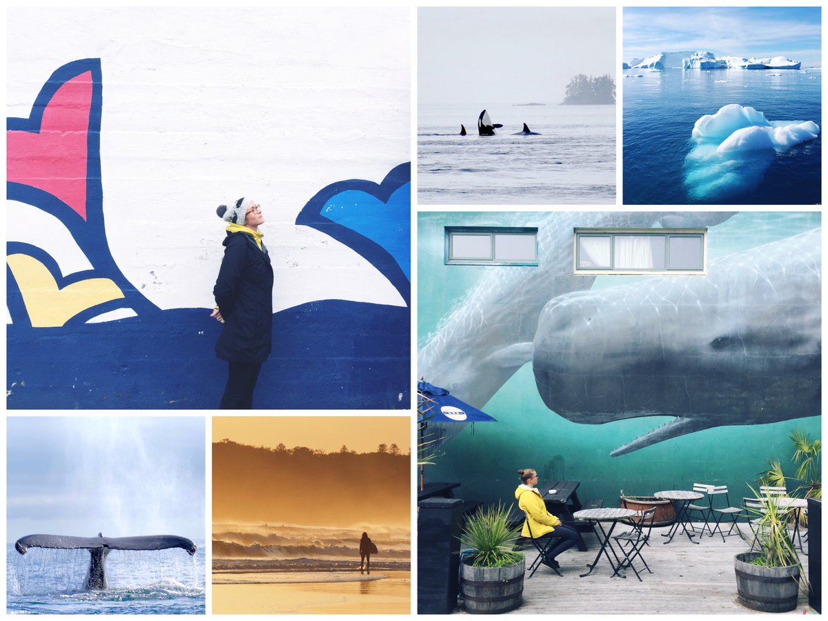 was wir die letzten paar monate so gemacht haben: oliverdirr.com/walreise