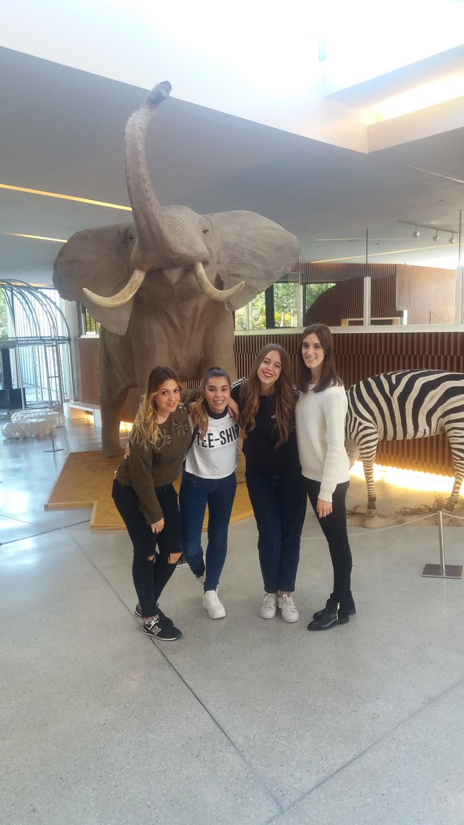 LorienteNerea's tweet photo. Un placer compartir viaje con vosotras, por muchos mas! #Granada #chupipandi #Ellas❤ https://t.co/bNjkHkkSwu