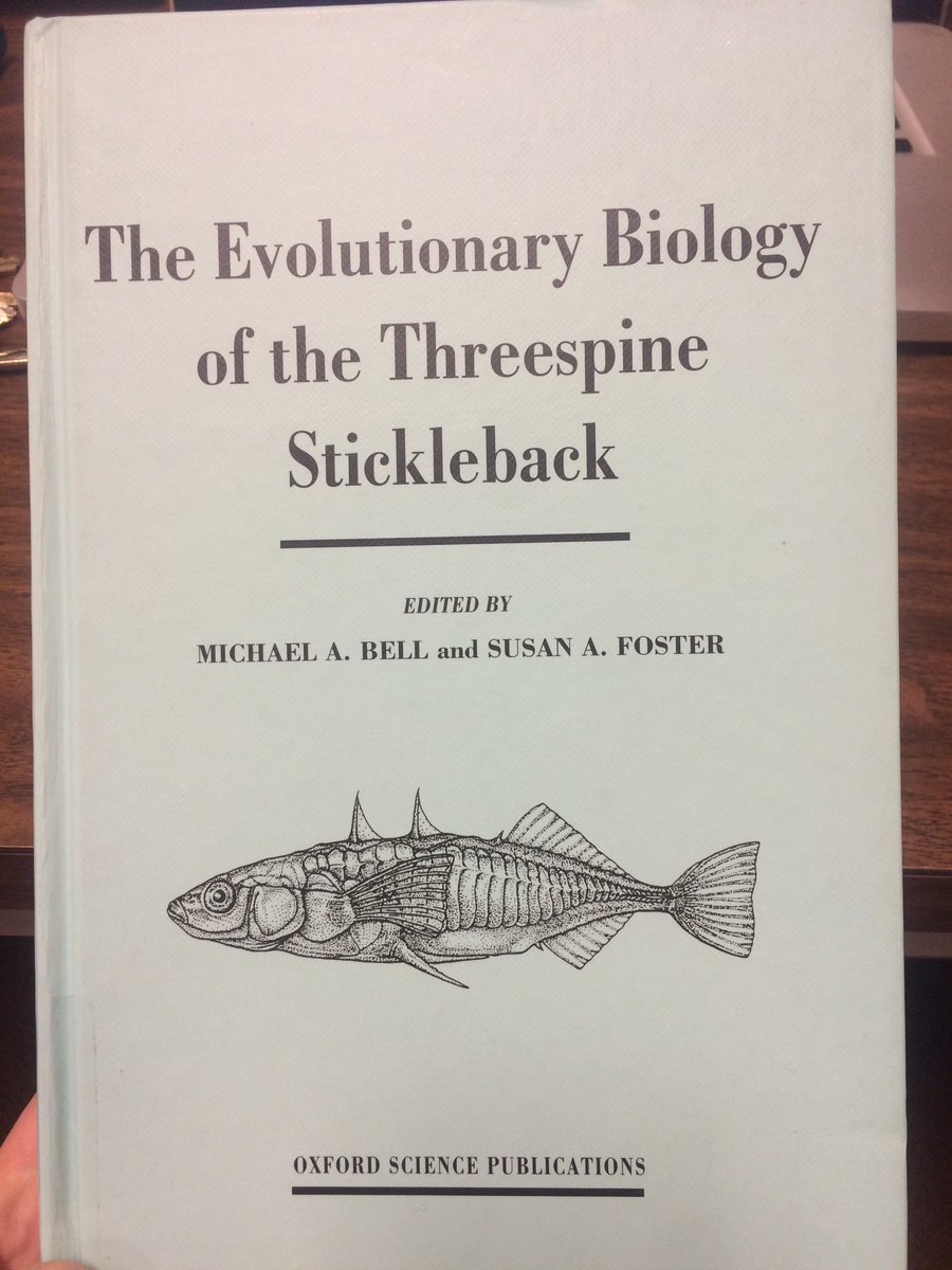 DrSaraSmith's tweet photo. Let the prep officially begin! Three weeks to dig my teeth into Bell & Foster #christmasreading #herecomescandidacy #bringingstickleback https://t.co/ZtKj4c1hXx