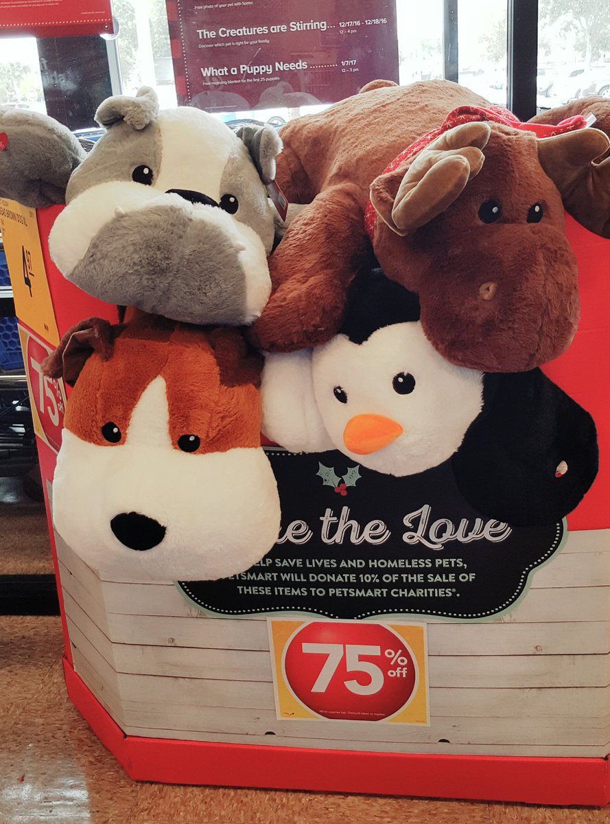 PetSmartFashionSqFL tweet media