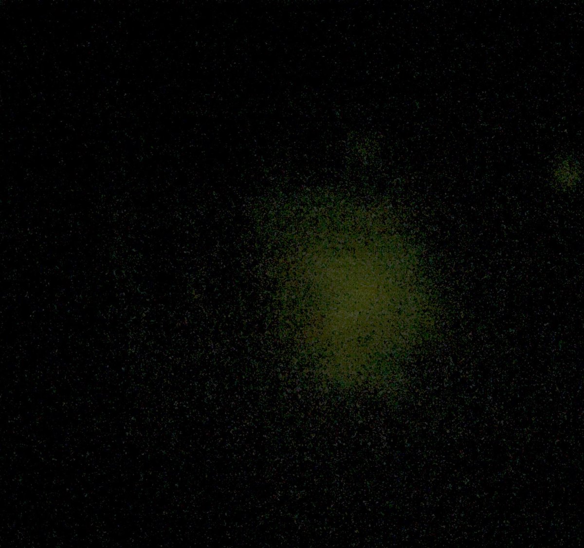 rowlank's tweet photo. Bacteria transformed successfully to Glow-in-the-Dark!! Well done Gr12 SBI4UI @ONEKCI #biotechnology #gr12bio https://t.co/8M81mKa9M4