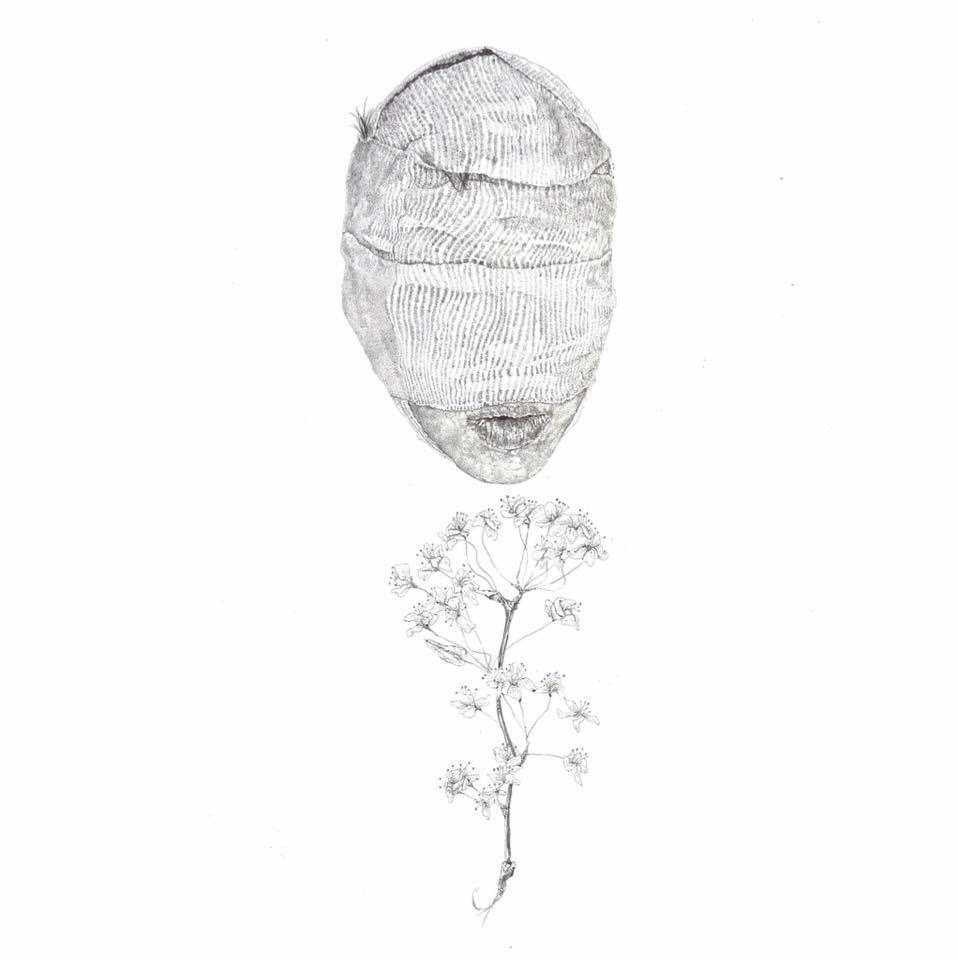 thepopritual's tweet photo. "Weak Species" is a year old today! 🎂

🎉https://t.co/Zo8gmBiSri🎉 https://t.co/3AT4vGuF2k