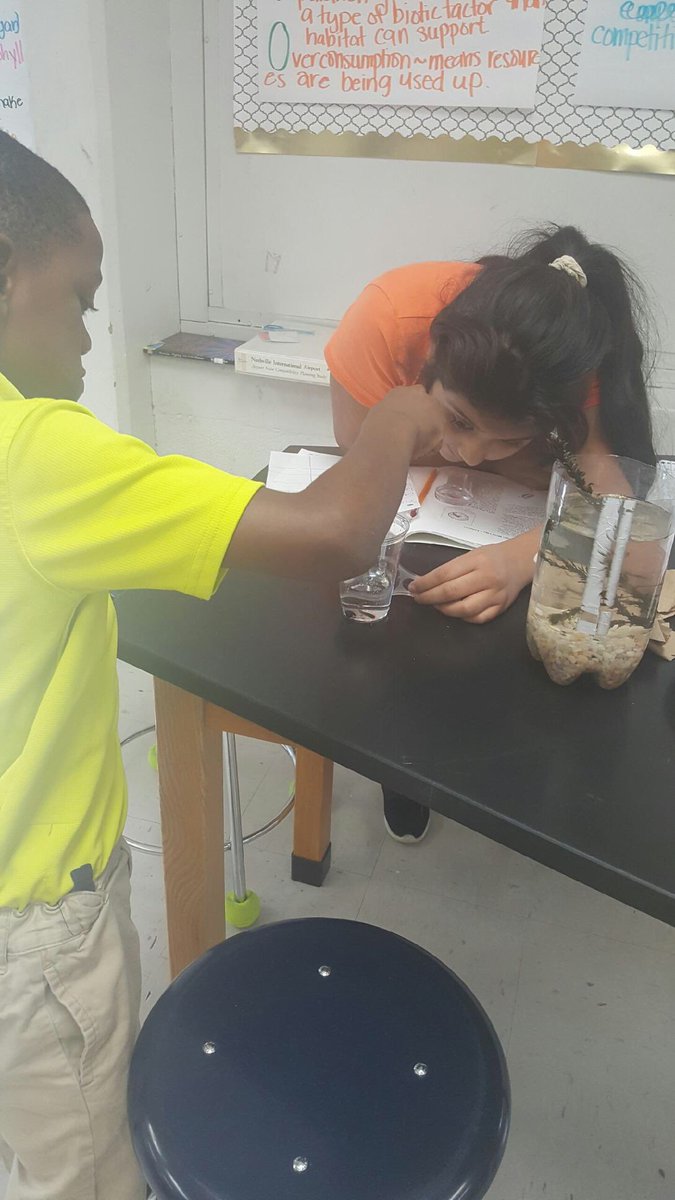 McKissackMiddle's tweet photo. @McKissackMiddle 5th graders create eco-columns to better understand terrestrial and aquatic habitats! @CommAchieves
#futureecologists https://t.co/Eh6PawlS3N