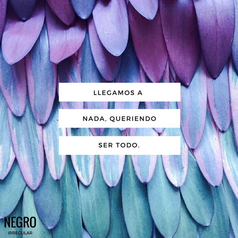NegroIrregular's tweet photo. La de hoy:
Llegamos a nada, queriendo ser todo.
#NegroIrregular #ElBlogdelasIdeas #Facebook #Quote https://t.co/FS26K4wbSv
