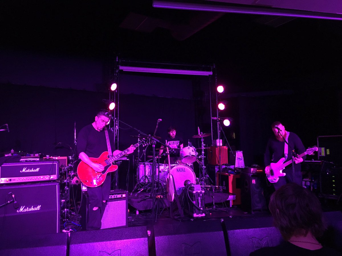 Gigpigswales tweet media