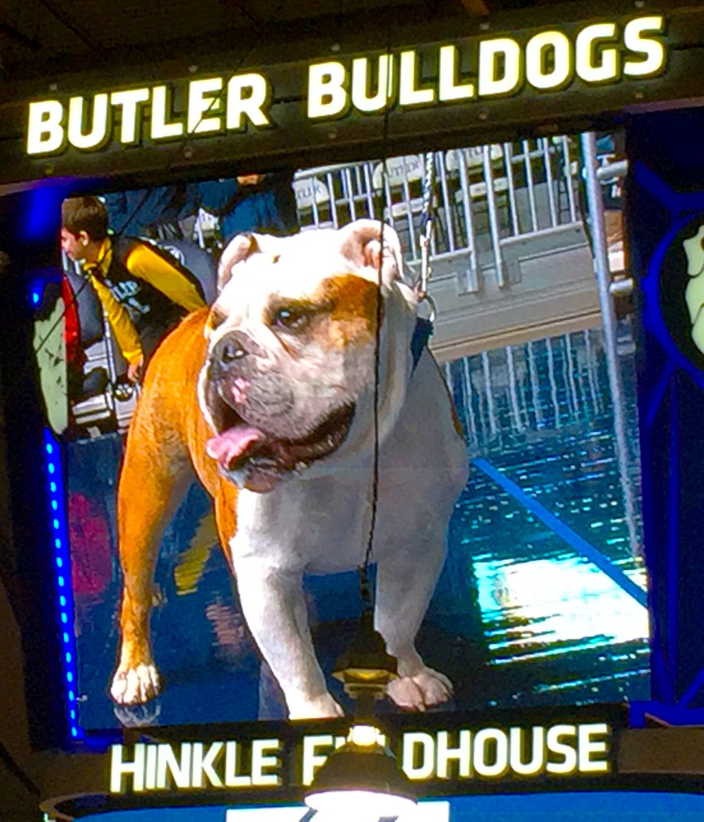 Bob_D_Jr's tweet photo. Congrats! @ButlerU men's bball with 7-0 start, making #GoDawgs one of only 15 teams in the country able to say that. #LoveButler #ButlerDad https://t.co/5irhUHRu49