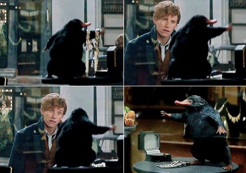 LordVoldemort_S's tweet photo. La mejor escena de "Animales Fantasticos y Donde Encontrarlos" https://t.co/O4fuzemJzJ