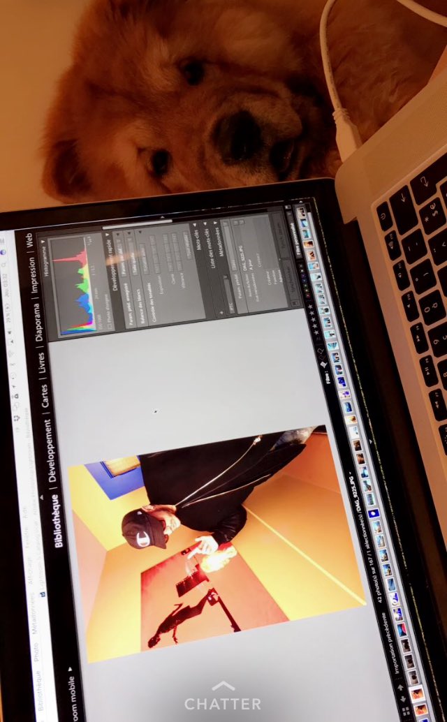 Mellow_Web's tweet photo. Still there when dad is workin' ... 🐕🐾🤓 https://t.co/EuiQaDJL9C