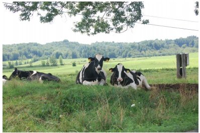 centralvtplan's tweet photo. mooo @VTAgencyofAg now accepting applications for the 2017 VT Milk Cooler Sponsorship program! Deadline is 12/15 https://t.co/Y0Y1f06b1a https://t.co/gBp9NhwWzW
