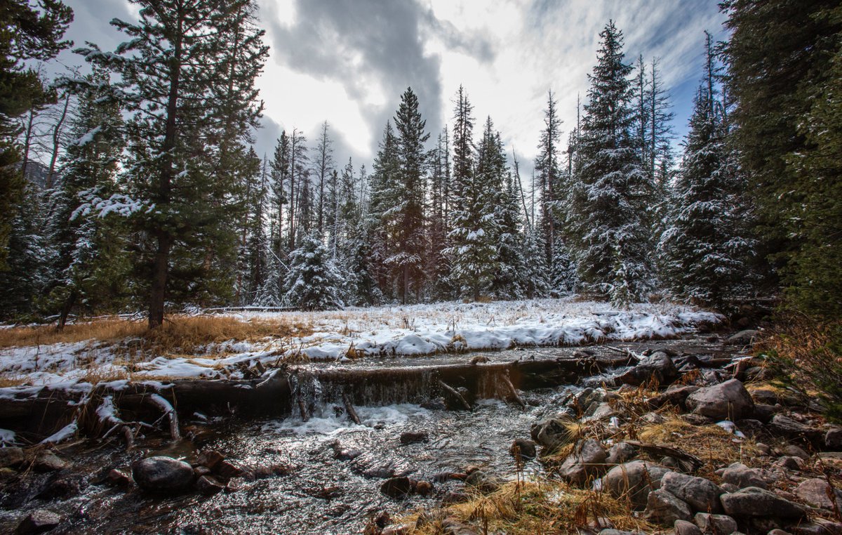 OsiafPodcast's tweet photo. Check out photos from our trip w/ @UtahDWR looking for wolverines in today's @standardex. Hear the full podcast at https://t.co/f9RSbPh31J https://t.co/VHPDEYhbLU