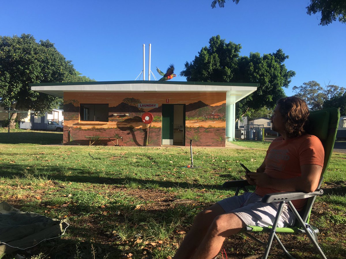 iMarkPhillips's tweet image. That day when you get photobombed by a parrot! #rainbowlorikeet #splitspaces #bizinbarefeet