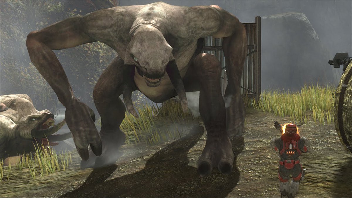 VickhalRoopram's tweet photo. Began halo again and this #WTFmoment. Occcard...      #halohardcore. https://t.co/oj2T4ZZvX2